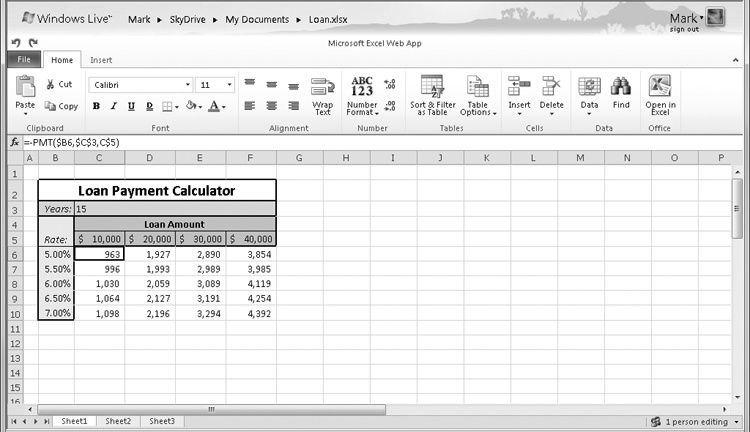 Office Web Apps allow browser-based access and light editing of Excel workbooks.