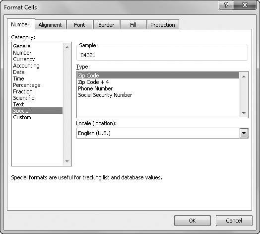 Excel provides several frequently requested formats in the Special category.