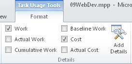 In the Task Usage view, each task is listed with its assigned resources.