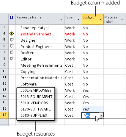 You can quickly designate multiple budget resources as such by adding the Budget field to the Resource Sheet and then changing its value from No to Yes.