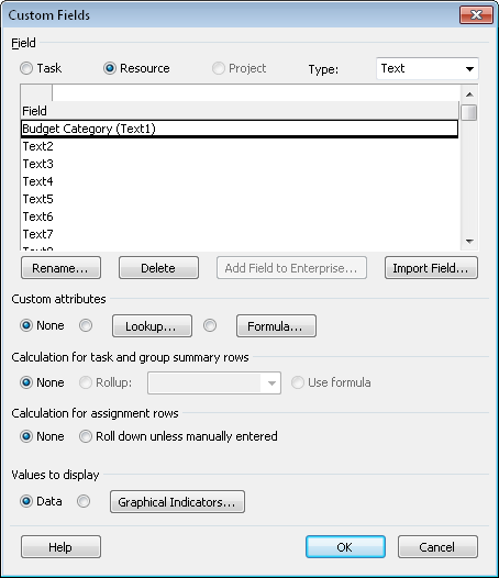 Create a custom text field to categorize your resources by their budget types.