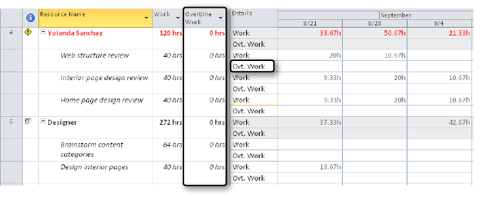 Add the Overtime Work field to the sheet and timesheet area of the Resource Usage view.