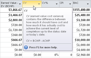 The Earned Value Cost Indicators table displays earned value fields related to budget performance.