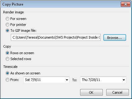 Choose the options you want for the picture file you’re creating from the current view.