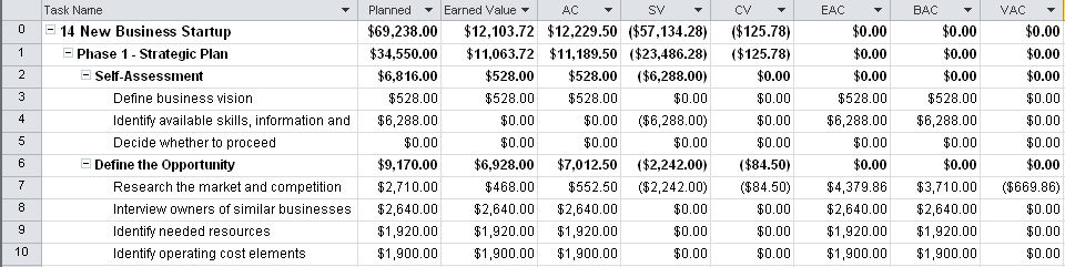 Use the Earned Value table to review earned value fields.