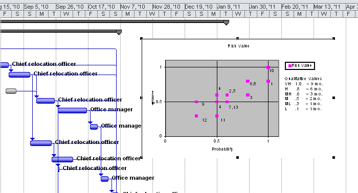 The Excel information appears as a picture in the Project 2010 location you selected.