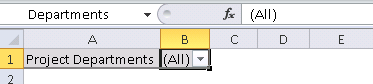 Select the different parts in the file (PivotTable, filter, and chart) and name them.