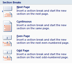 The four available types of section breaks.