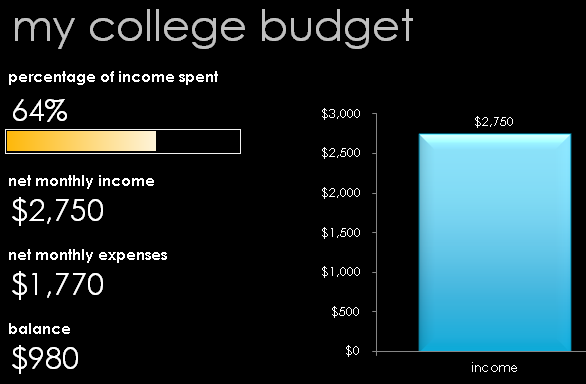 Data bar used to visually track the percentage of income spent.