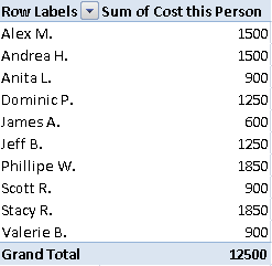 A PivotTable based on the sample data for this chapter, showing total cost per person.