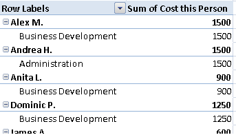 The sample PivotTable grouped by Name and then Business Area.