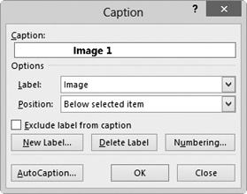 Screen shot of the Caption dialog box.