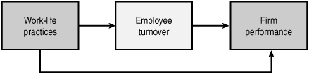 Relationships between work-life variables, employee turnover, and firm performance.