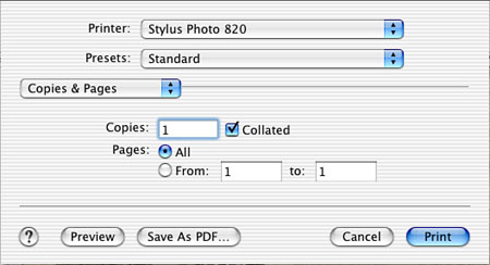 You use the Print dialog box to decide what you want to print.