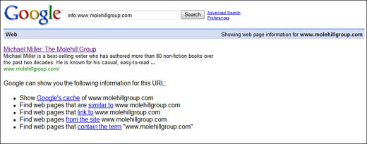 The results of applying the info: operator to the author’s www.molehillgroup.com website.