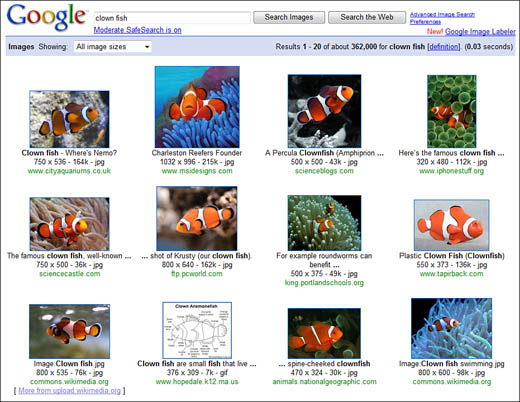 The results of a Google image search.