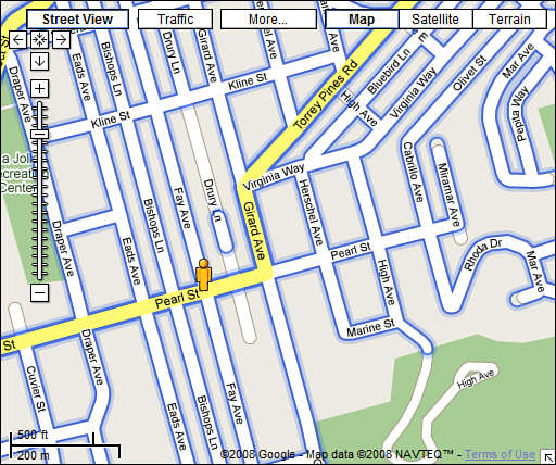 Blue-lined streets have Street View photos attached.
