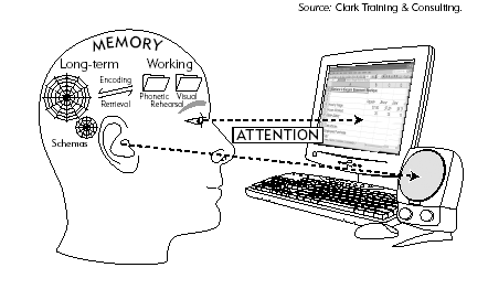 An Overview of Cognitive Learning Processes.