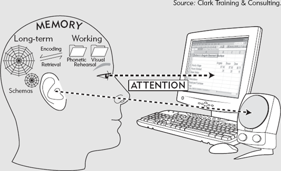 Working Memory Includes a Phonetic (Auditory) and Visual Component.