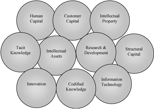 Elements comprising intellectual capital.