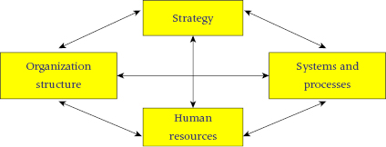 cmp1-fig-0005