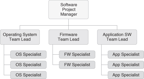 A chart with a label software project manager leads to three labels operating system, firmware, and application SW team leads. The team leads have three, two, and three specialists, respectively.