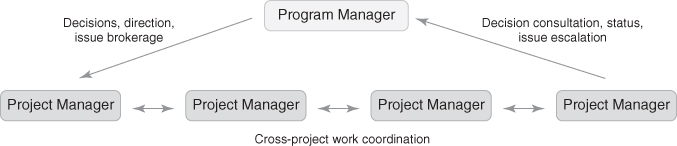 A chart depicting triangulation of collaboration with a label Program Manager and four labels “Project Manager” connected with arrows in counterclockwise direction.