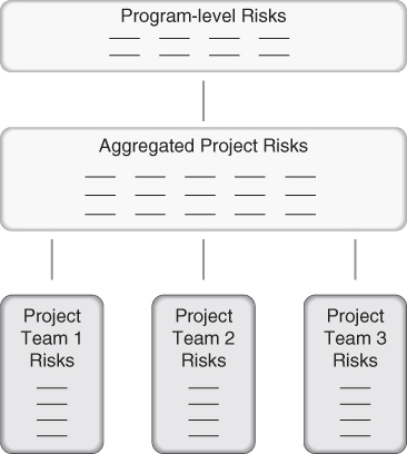 A chart depicting hierarchy of risk on a program that consists of three levels.