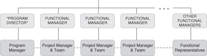 A matrix structure. A vertical solid line from program director leads down to program manager, three functional managers to three project team manager, and other functional managers to functional representatives. A dashed line connects the labels at bottom.