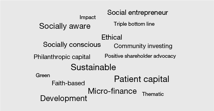 Figure 7.1 Socially responsible investing descriptions