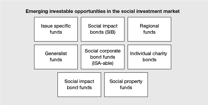 Figure 7.9 Types of social impact investments