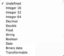 The datatypes supported by Core Data