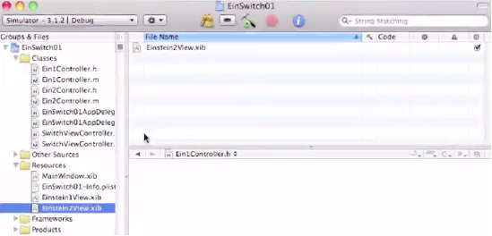 Save the second of your two nib files, Einstein2View.xib.