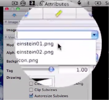 Associate the first image, einstein01.png, with the Image View.