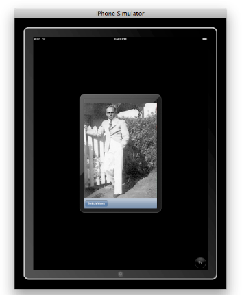 We see the initial image, the bachelor, in the iPad's iPhone View.