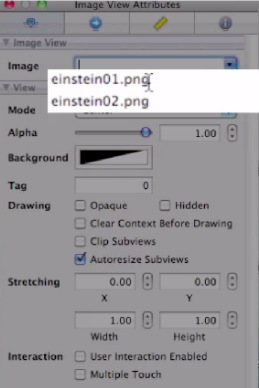 Select the einstein01.png file from your two choices.