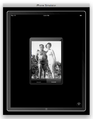 Even with black and white images, the iPad has a sophisticated look.