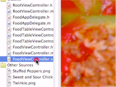 Open the FoodViewController.xib file.