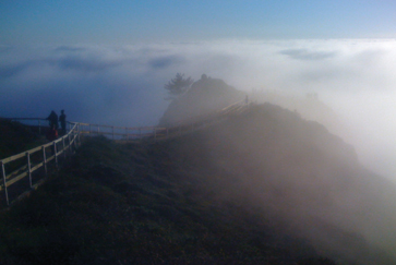 Fog can make a photograph feel moody.