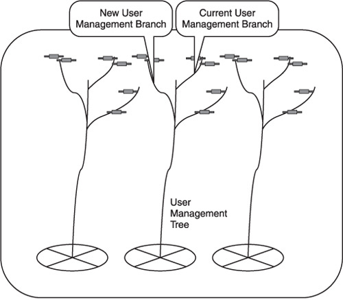 User Management tree and its branches.