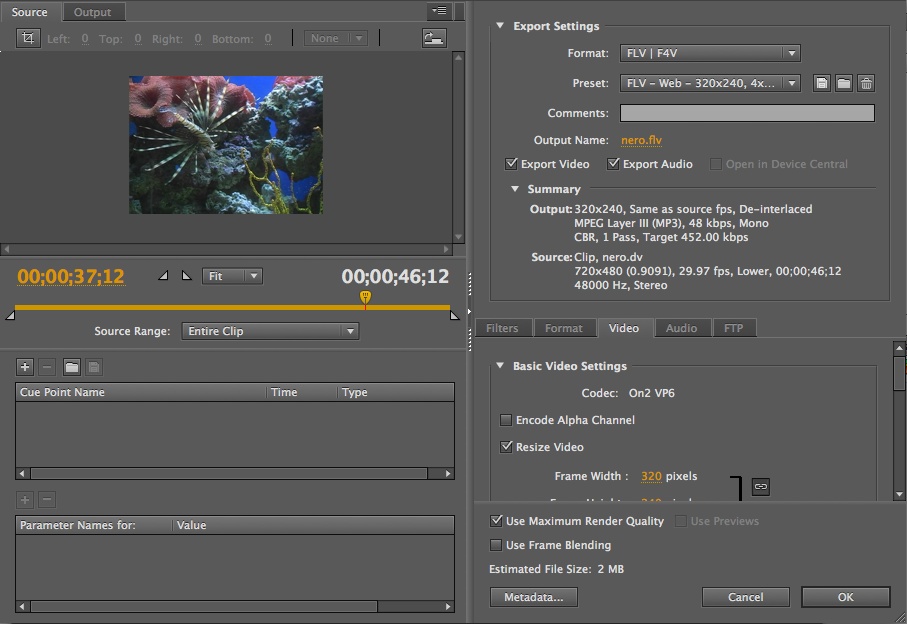 The Settings interface of Adobe Media Encoder (CS5 pictured)