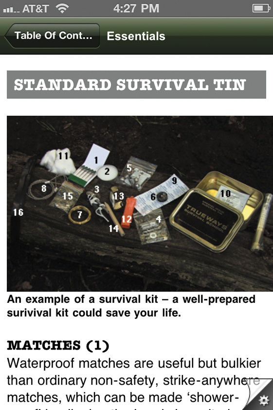 SAS Survival Guide