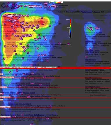 Enquiro eye-tracking results, 2006