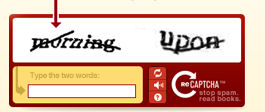 ReCAPTCHA screen