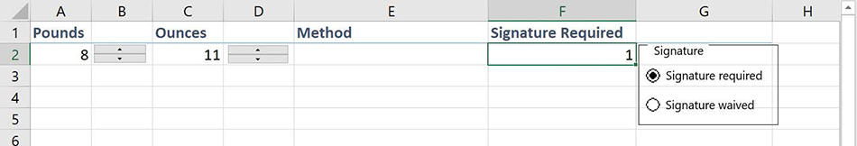 Screenshot of a pair of option buttons that both provide values for cell D2. The first option button is selected, so cell D2 displays the value 1.