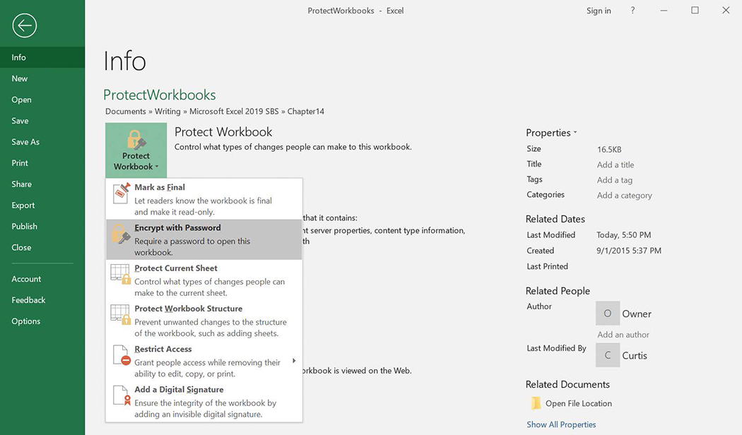 Screenshot of the Info page of the Backstage view. The Protect Workbook list is displayed and the Encrypt with Password item highlighted.