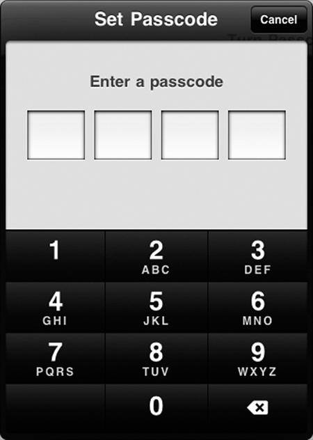 The Set Passcode screen lets you type a four-digit passcode.