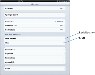 Choosing between Mute or Lock Rotation