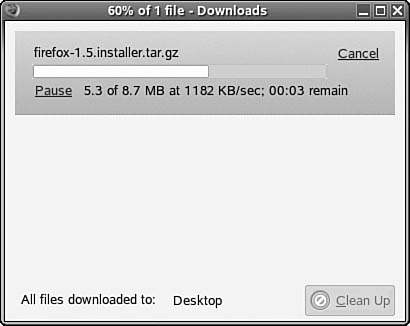 With a high-speed Internet connection, download progresses quickly.