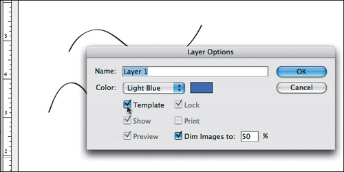 The Layer dialog box, with Template selected.